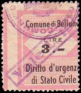 Marca da Bollo del Comune di BELLUNO su Carta Bianca di dimensioni 24,5 x 29 mm