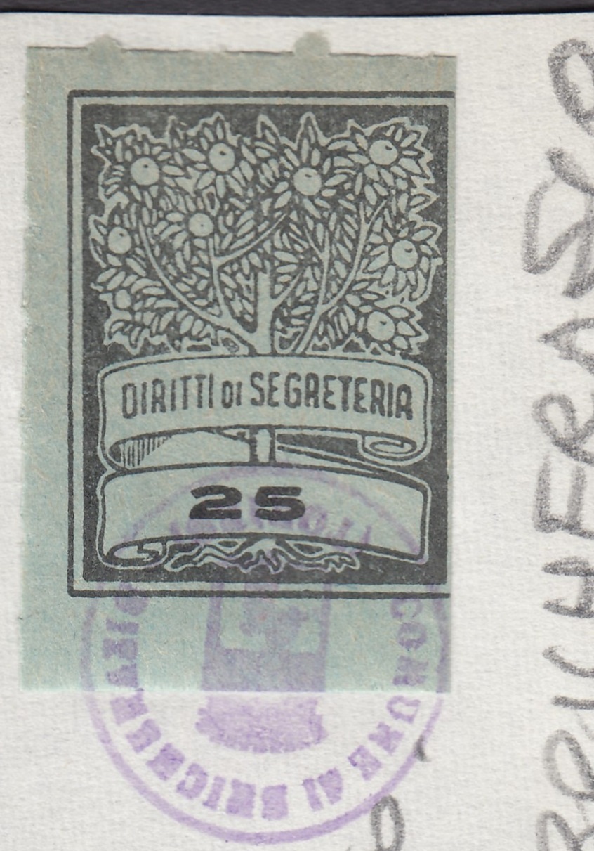Marca da Bollo del Comune di BRICHERASIO su Carta Colorata di dimensioni 22 x 28,5 mm