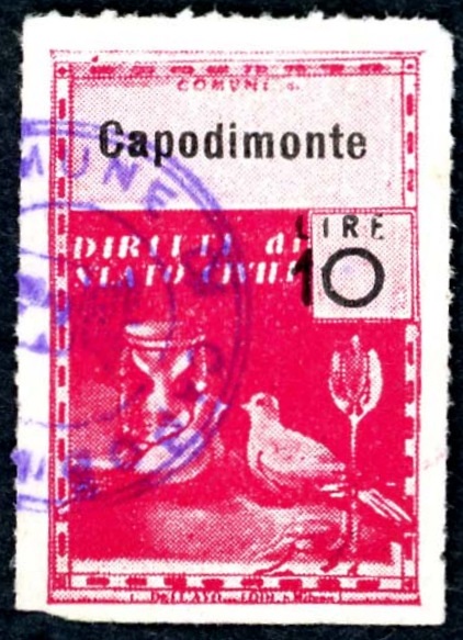 Marca da Bollo del Comune di CAPODIMONTE su Carta Bianca di dimensioni 21,5 x 32 mm