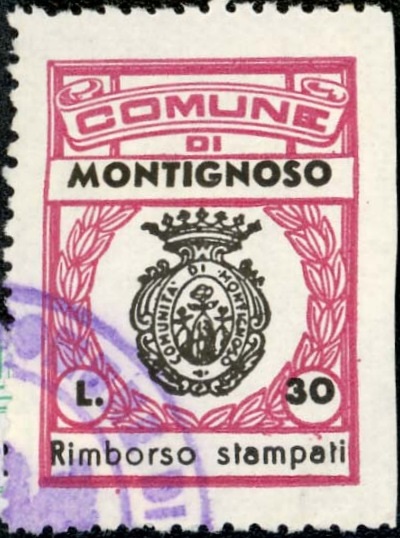 Marca da Bollo del Comune di MONTIGNOSO su Carta Bianca di dimensioni 21,5 x 29 mm
