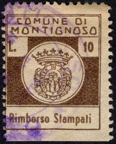 Marca da Bollo del Comune di MONTIGNOSO su Carta Bianca Sottile di dimensioni 21,5 x 26 mm