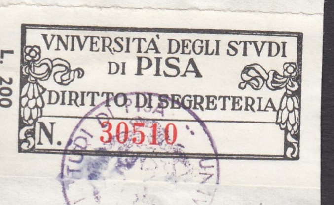 Marca da Bollo del Comune di PISA su Carta Bianca di dimensioni 44 x 20 mm