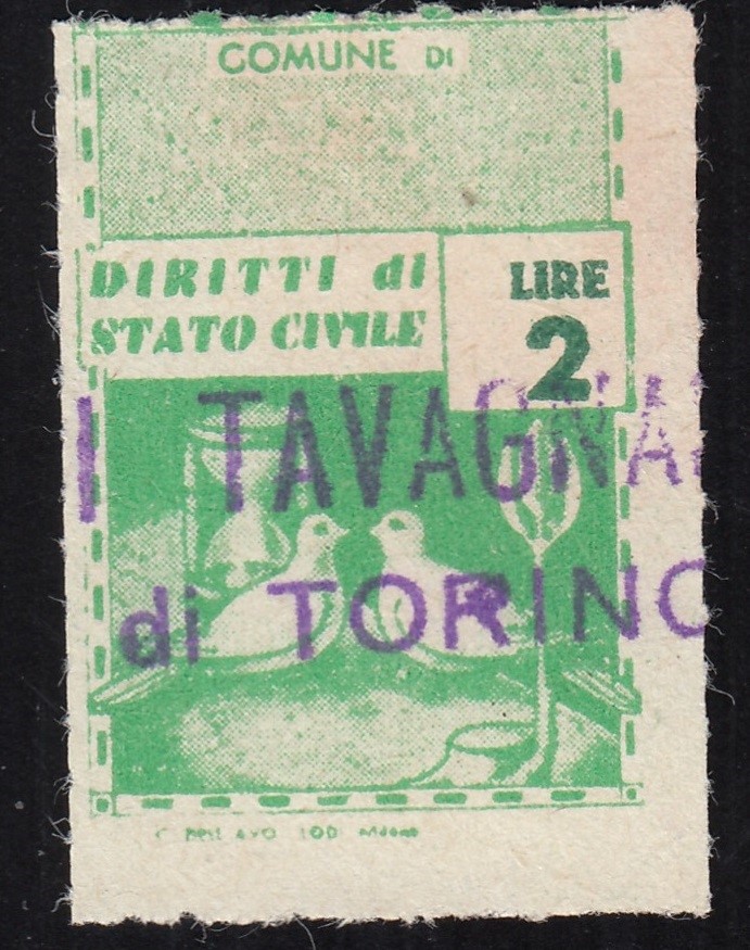 Marca da Bollo del Comune di TAVAGNASCO su Carta Bianca di dimensioni 22 X 33 mm