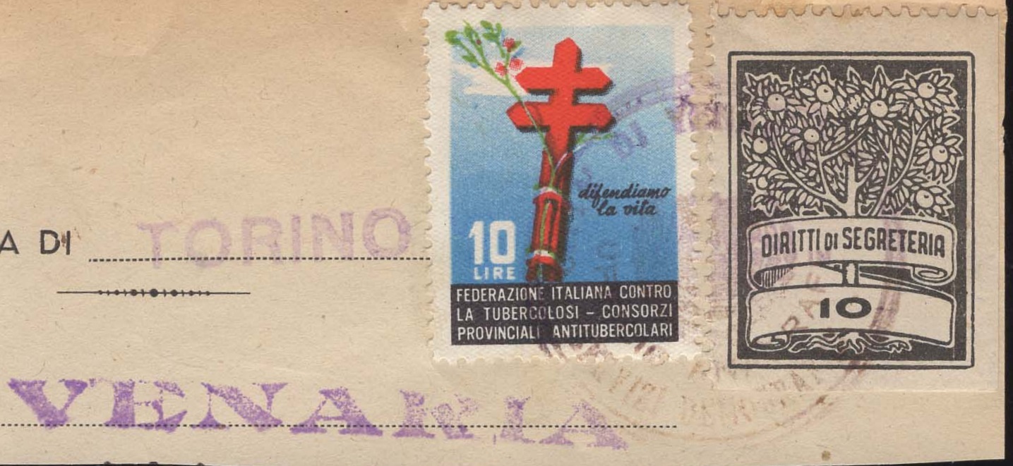 Marca da Bollo del Comune di VENARIA REALE su Carta Bianca di dimensioni 22 x 28,5 mm