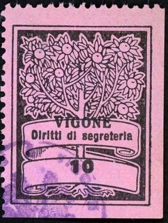 Marca da Bollo del Comune di VIGONE su Carta Colorata di dimensioni 22 x 28,5 mm
